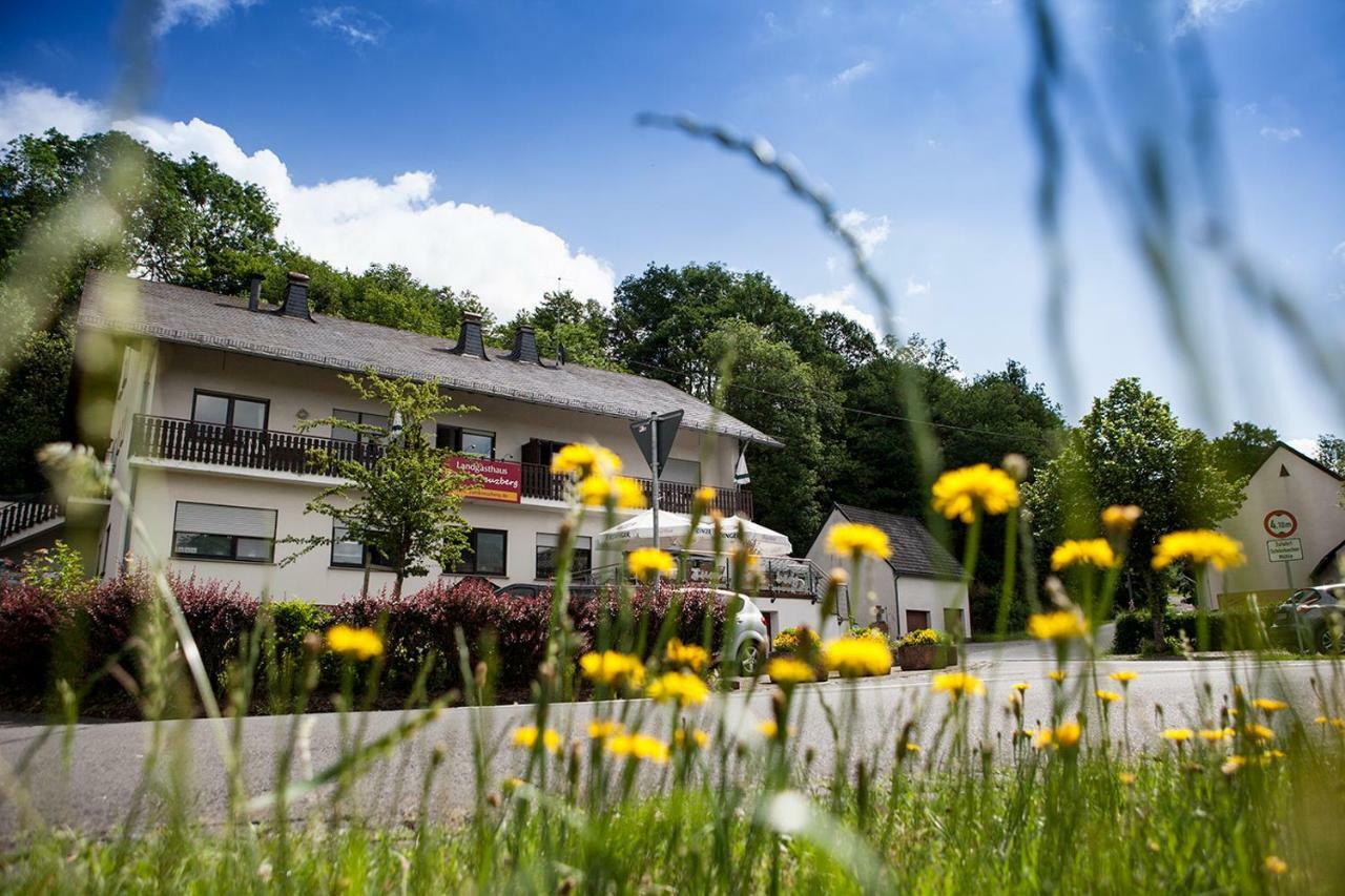 Landgasthaus Zum Kreuzberg Schonbach  Exteriér fotografie